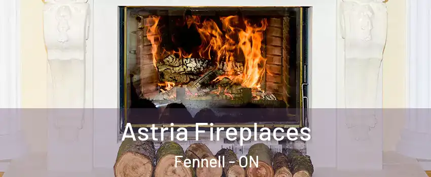  Astria Fireplaces Fennell - ON