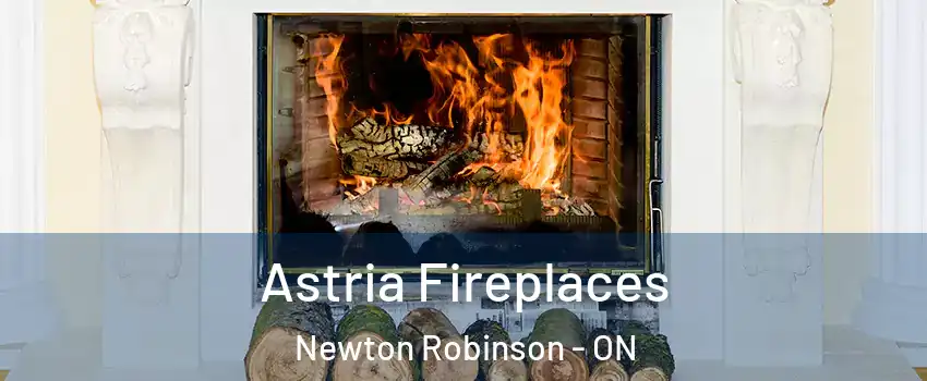  Astria Fireplaces Newton Robinson - ON