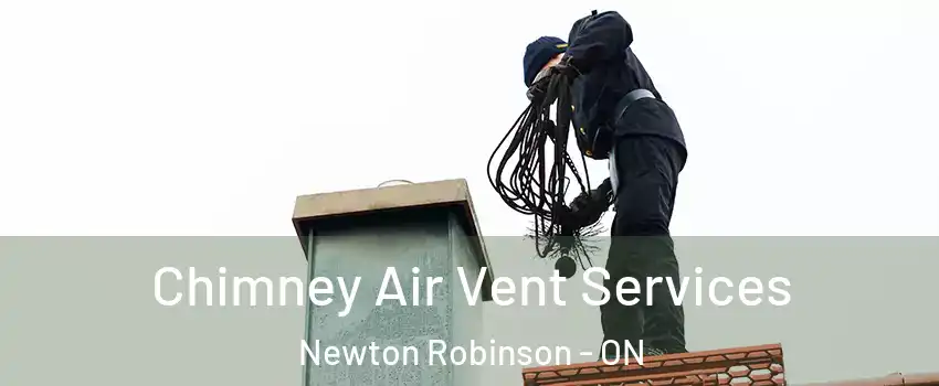  Chimney Air Vent Services Newton Robinson - ON