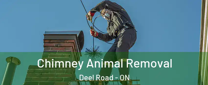 Chimney Animal Removal Deel Road - ON