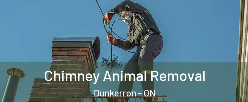 Chimney Animal Removal Dunkerron - ON