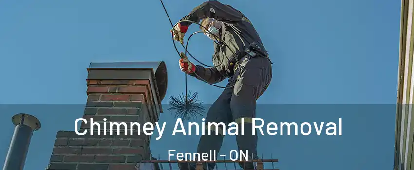  Chimney Animal Removal Fennell - ON