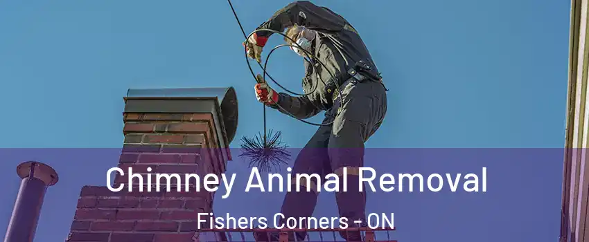 Chimney Animal Removal Fishers Corners - ON