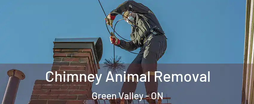Chimney Animal Removal Green Valley - ON