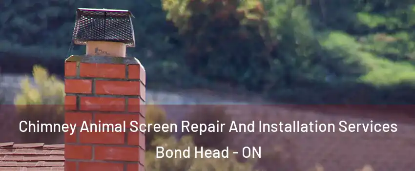  Chimney Animal Screen Repair And Installation Services Bond Head - ON