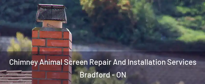  Chimney Animal Screen Repair And Installation Services Bradford - ON