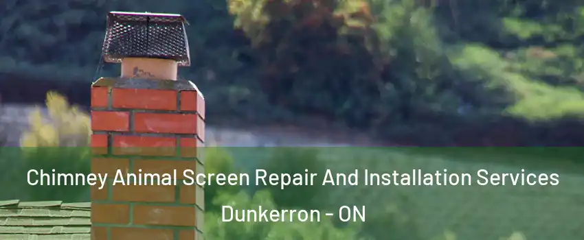  Chimney Animal Screen Repair And Installation Services Dunkerron - ON