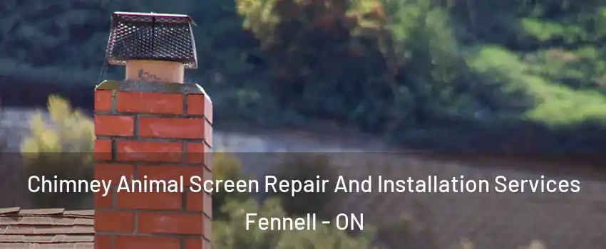  Chimney Animal Screen Repair And Installation Services Fennell - ON