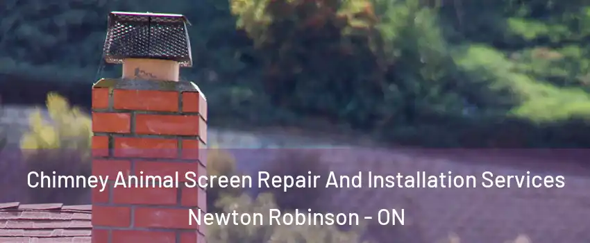  Chimney Animal Screen Repair And Installation Services Newton Robinson - ON