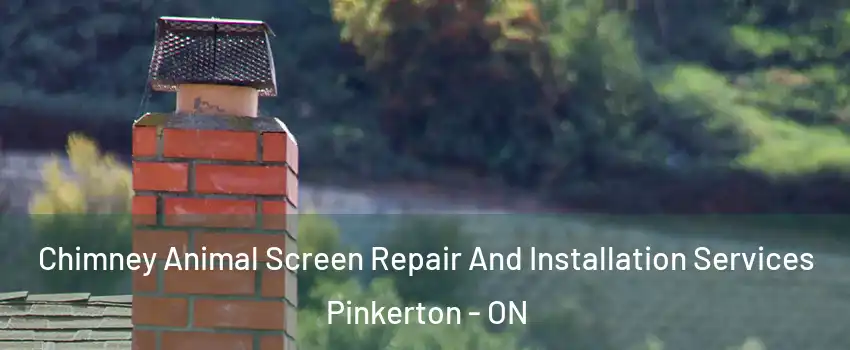  Chimney Animal Screen Repair And Installation Services Pinkerton - ON