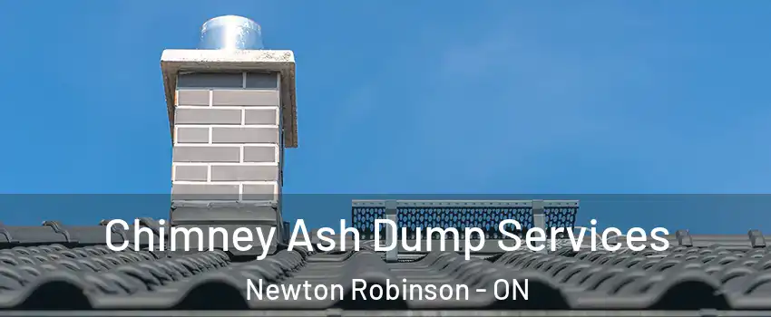  Chimney Ash Dump Services Newton Robinson - ON