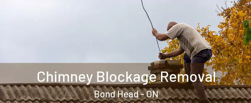  Chimney Blockage Removal Bond Head - ON