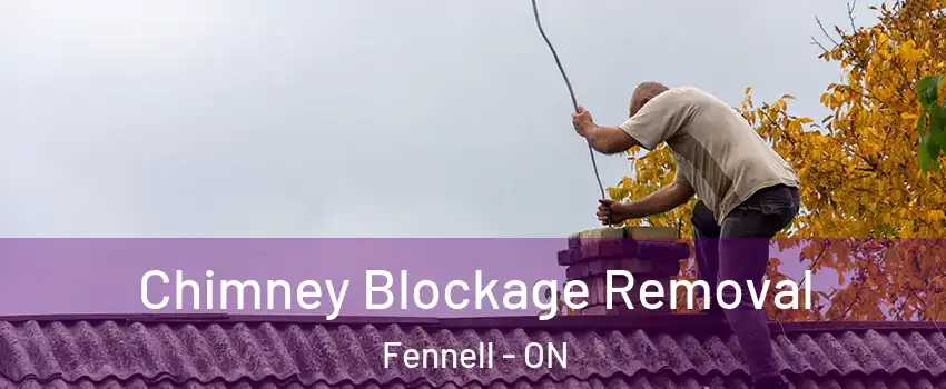  Chimney Blockage Removal Fennell - ON