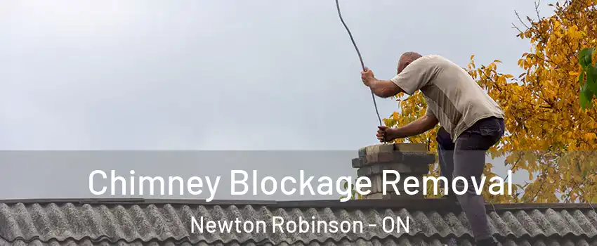  Chimney Blockage Removal Newton Robinson - ON