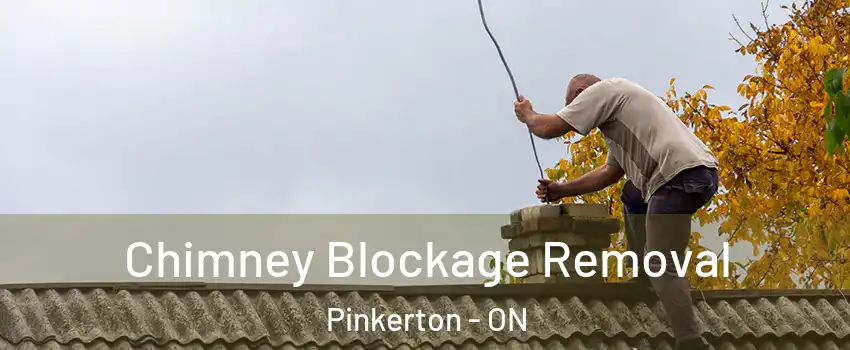  Chimney Blockage Removal Pinkerton - ON