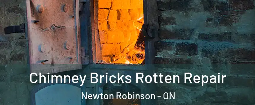  Chimney Bricks Rotten Repair Newton Robinson - ON