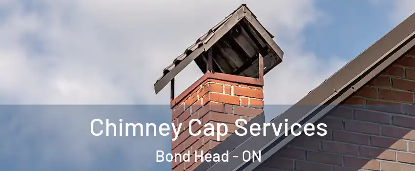  Chimney Cap Services Bond Head - ON