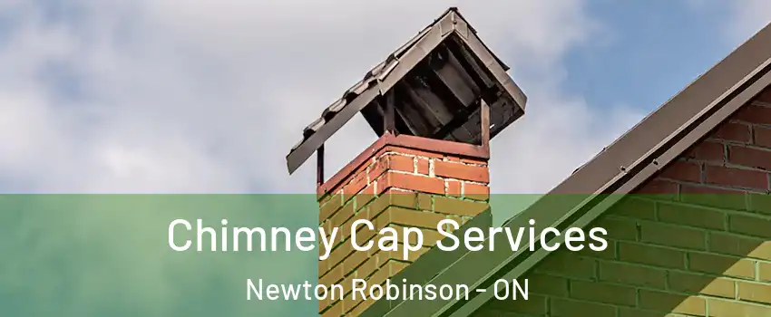  Chimney Cap Services Newton Robinson - ON
