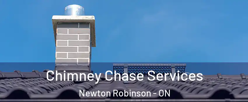  Chimney Chase Services Newton Robinson - ON