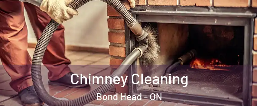  Chimney Cleaning Bond Head - ON