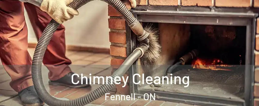  Chimney Cleaning Fennell - ON
