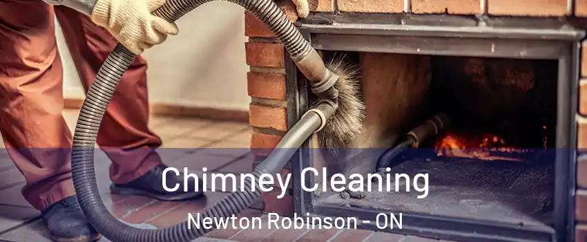  Chimney Cleaning Newton Robinson - ON