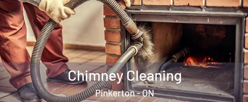  Chimney Cleaning Pinkerton - ON
