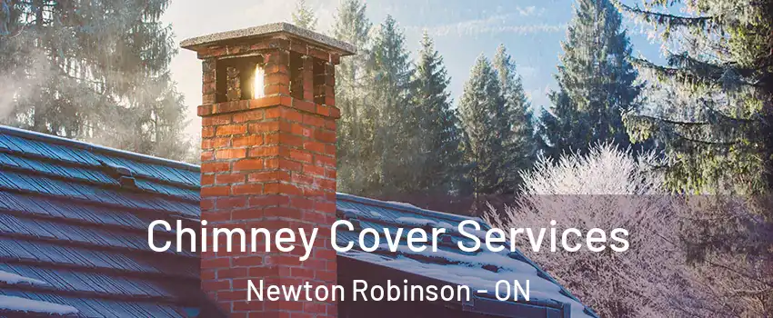  Chimney Cover Services Newton Robinson - ON