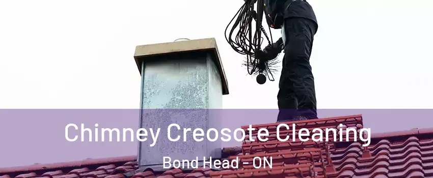  Chimney Creosote Cleaning Bond Head - ON