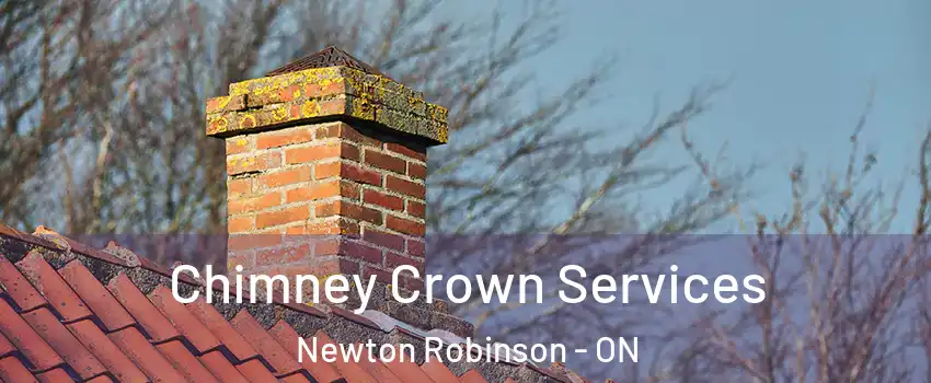  Chimney Crown Services Newton Robinson - ON