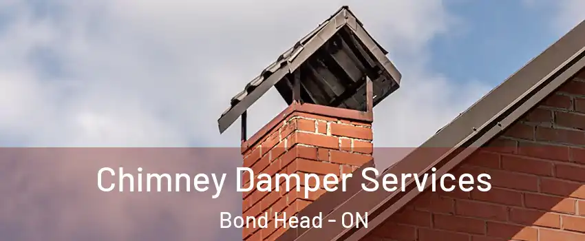  Chimney Damper Services Bond Head - ON