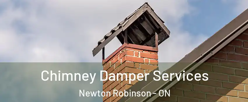  Chimney Damper Services Newton Robinson - ON