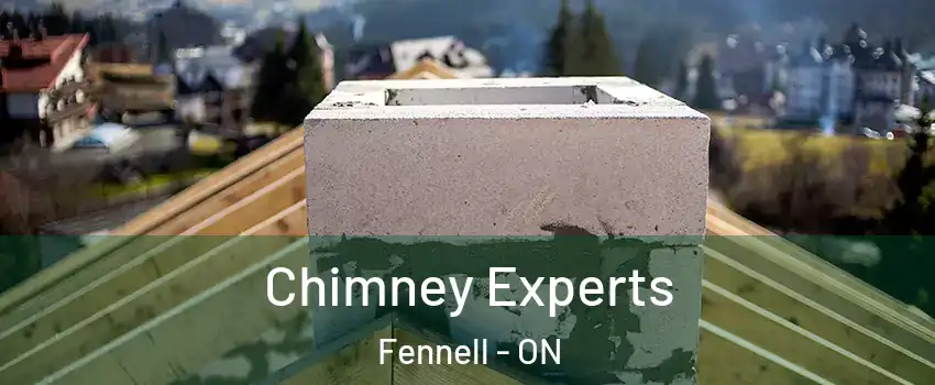 Chimney Experts Fennell - ON