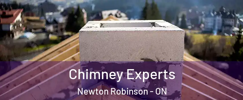 Chimney Experts Newton Robinson - ON