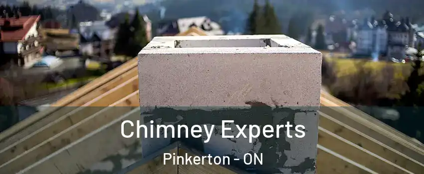 Chimney Experts Pinkerton - ON