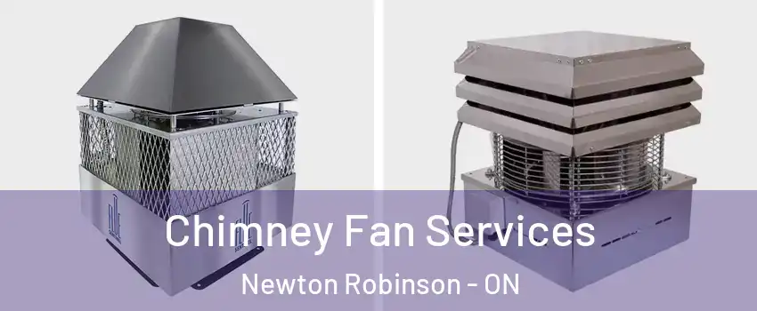  Chimney Fan Services Newton Robinson - ON
