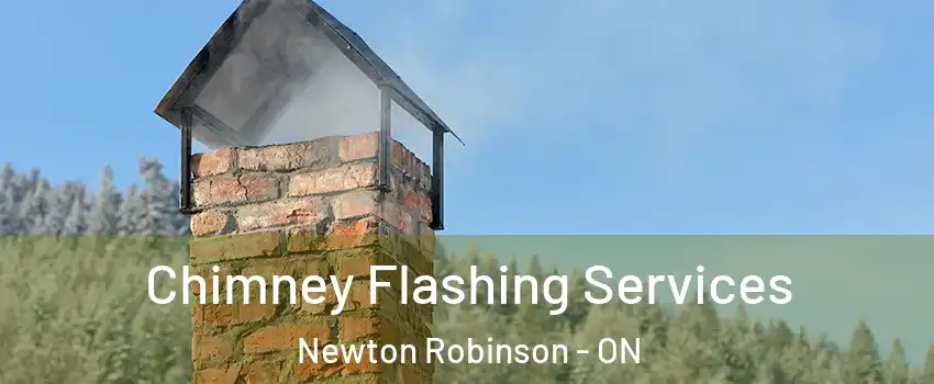 Chimney Flashing Services Newton Robinson - ON