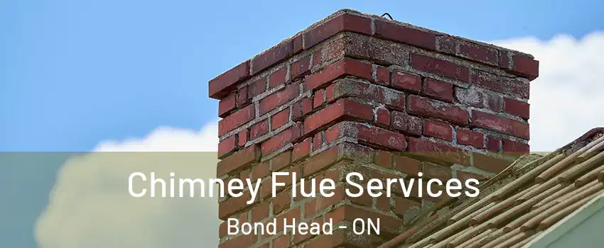  Chimney Flue Services Bond Head - ON