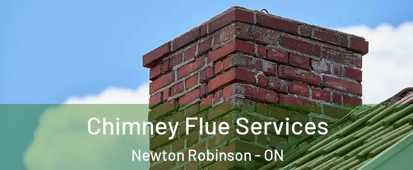  Chimney Flue Services Newton Robinson - ON