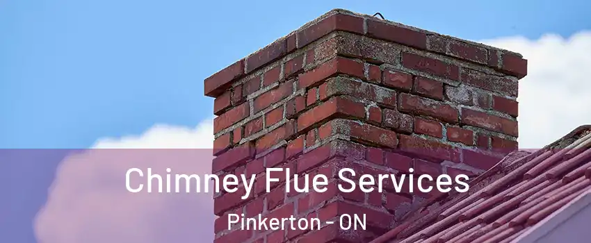  Chimney Flue Services Pinkerton - ON