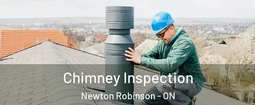  Chimney Inspection Newton Robinson - ON