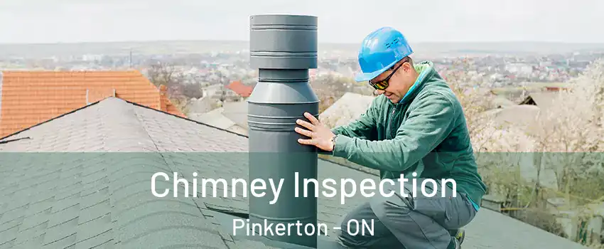  Chimney Inspection Pinkerton - ON