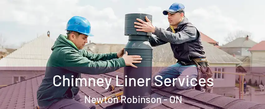 Chimney Liner Services Newton Robinson - ON