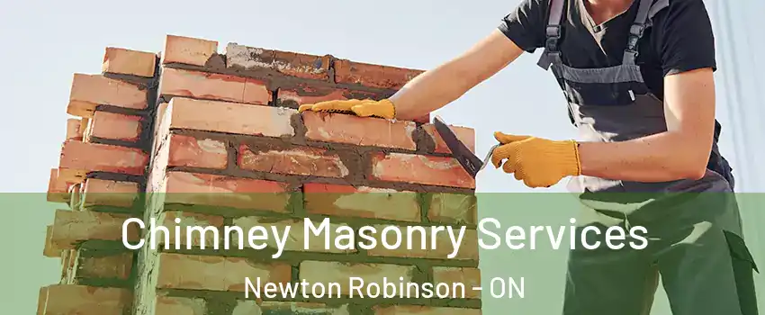  Chimney Masonry Services Newton Robinson - ON