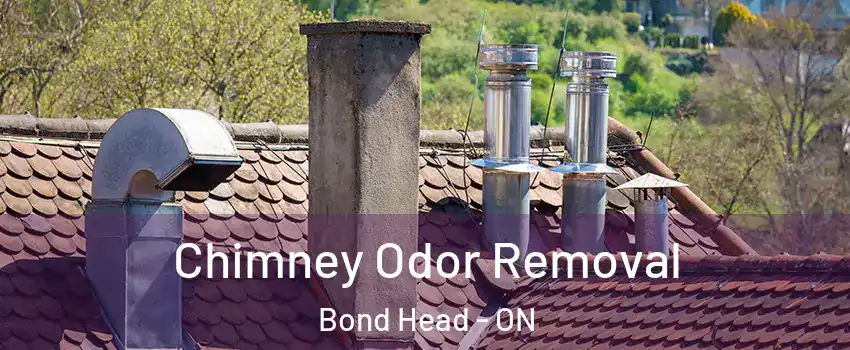  Chimney Odor Removal Bond Head - ON