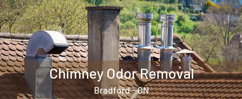  Chimney Odor Removal Bradford - ON