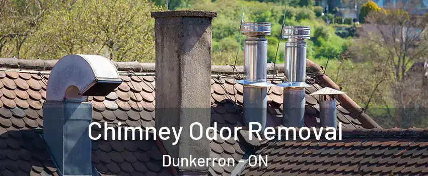  Chimney Odor Removal Dunkerron - ON