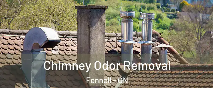  Chimney Odor Removal Fennell - ON