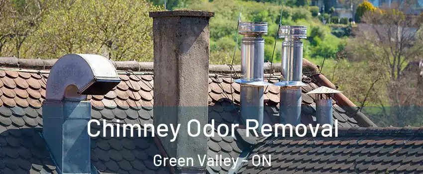  Chimney Odor Removal Green Valley - ON
