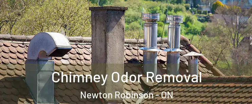  Chimney Odor Removal Newton Robinson - ON